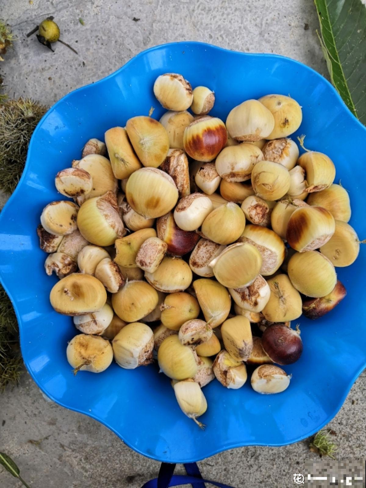 每天都吃的4种植物，长在树上的样子，你一定没见过