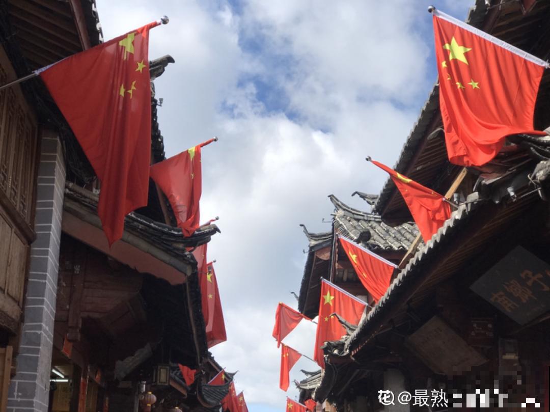 一盆菊花一万二，能开出七个颜色，真是少见