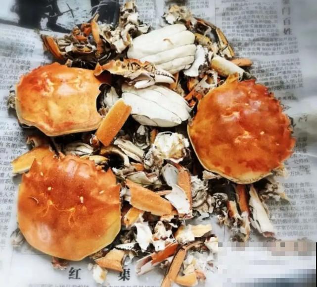 家里的“垃圾”留下，拿来养花效果好，颜值超高