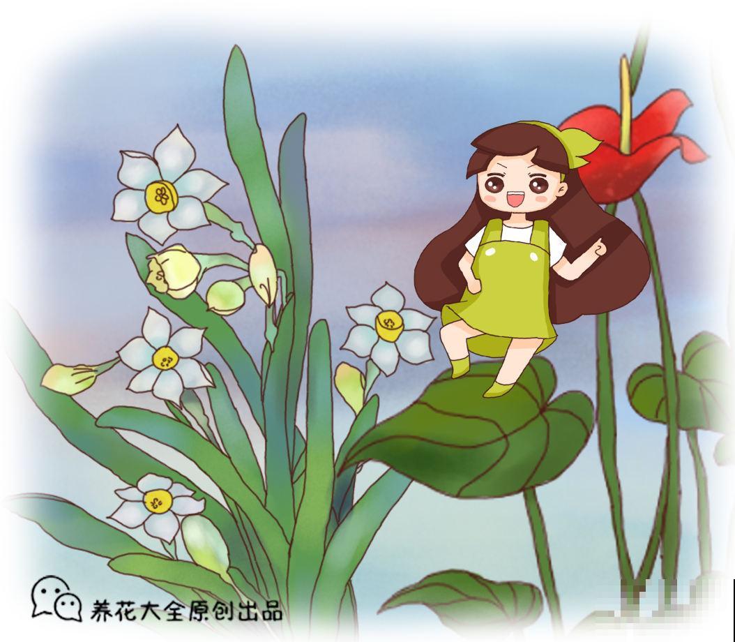 中国10大名花排行榜，快来看看，你喜欢的花卉上榜了吗