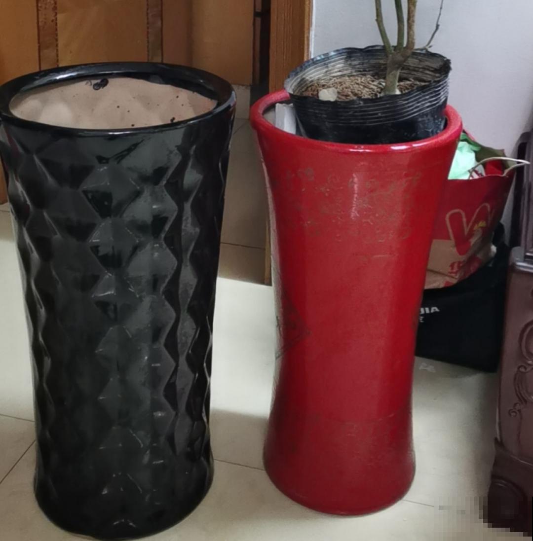 5种花盆，闷根又烂根，一养花就死掉