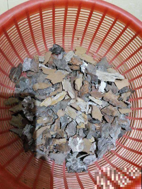 路边捡4种“垃圾”，和土壤掺一起，就是养花万能土，省一大笔钱