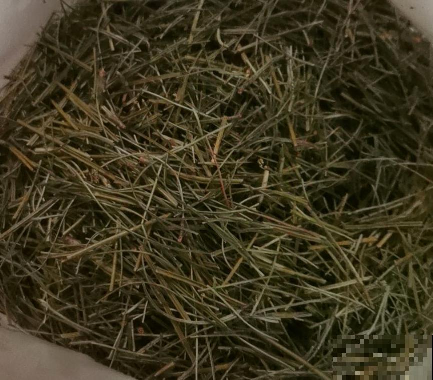 4种“垃圾”别丢掉,用来养花效果太好,还能省下一大笔钱 4种“垃圾”别丢掉,用来养花效果太好,还能省下一大笔钱