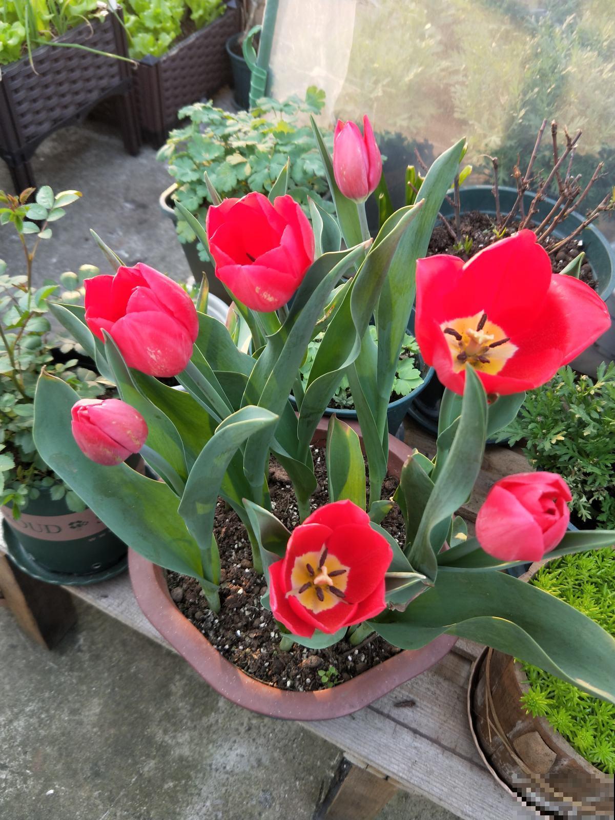 6种结婚用的手捧花,为了自己心爱的人,也要浪漫一回 6种结婚用的手捧花,为了自己心爱的人,也要浪漫一回