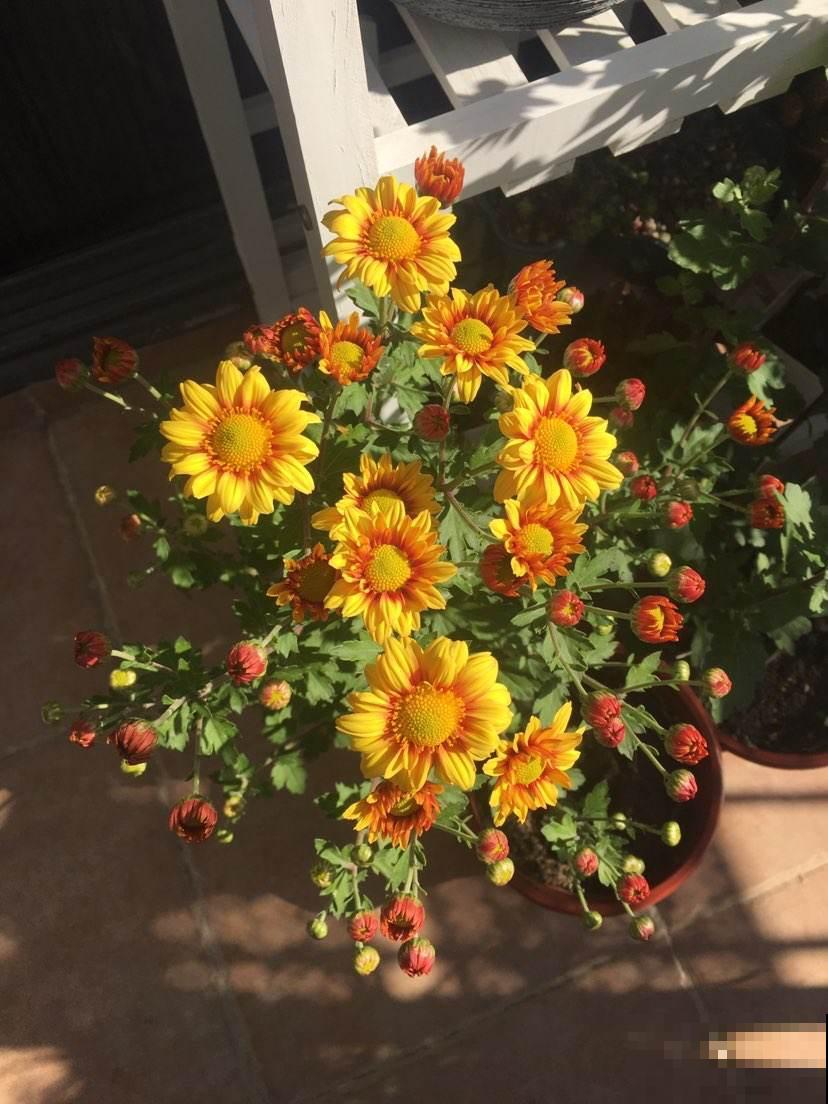 45岁之后，8个人生经验，越早知道越受益