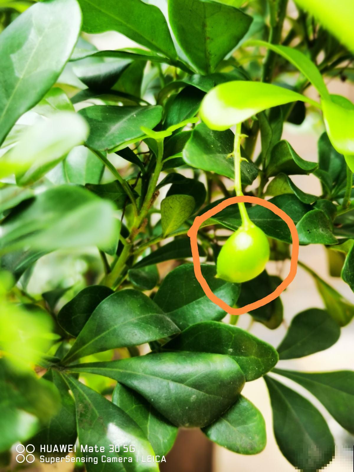 植物会打“暗语”，读懂这2个“暗语”，才能把花养的根壮叶肥