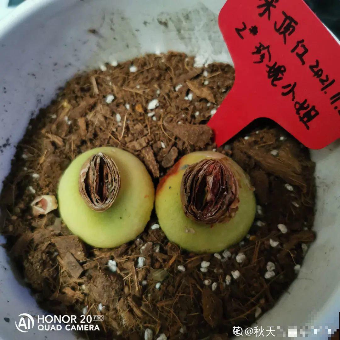 不良商贩真缺德，高价卖假货，不少人都上当