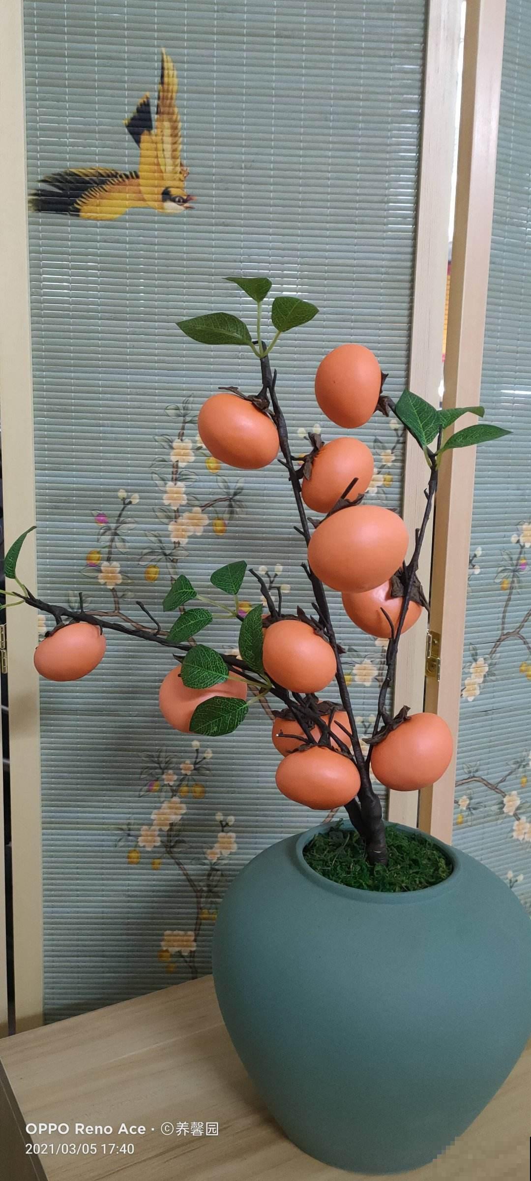 快过年了，家里养盆金灿灿的桔子树，吉祥又喜庆