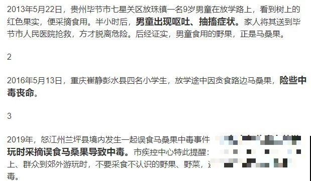 路上看见银杏果,不要捡,小心有毒! 路上看见银杏果,不要捡,小心有毒!