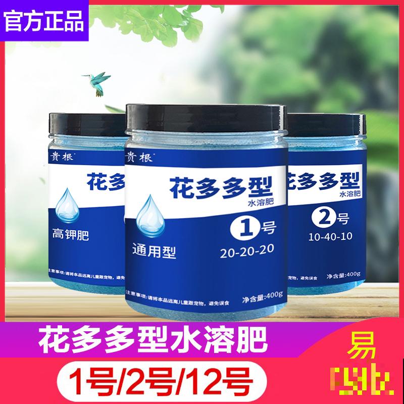 秋冬季缺不了的9种花，南北方都能养，现在准备不算迟