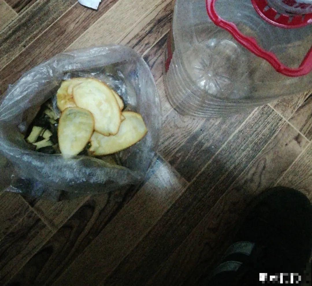 10种“垃圾”不要丢，拿来养花效果好，还能省下一笔钱