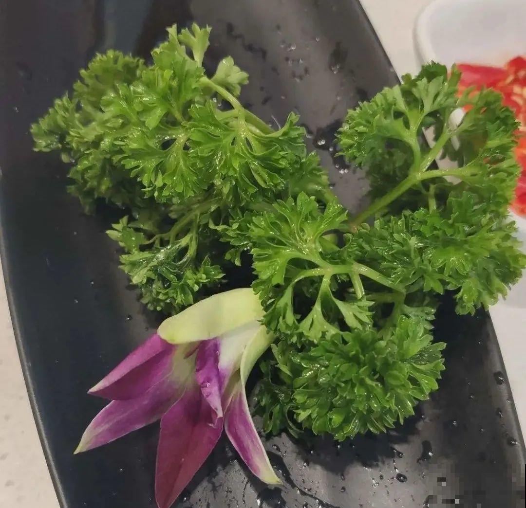 6种盆栽能吃,掐掉一节很快冒新芽,味道芳香营养丰富 6种盆栽能吃,掐掉一节很快冒新芽,味道芳香营养丰富