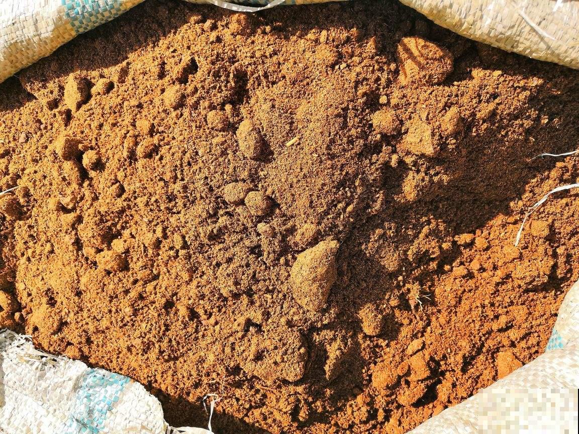 2种“垃圾”没人愿意碰，却是养花好肥料，养花少不了