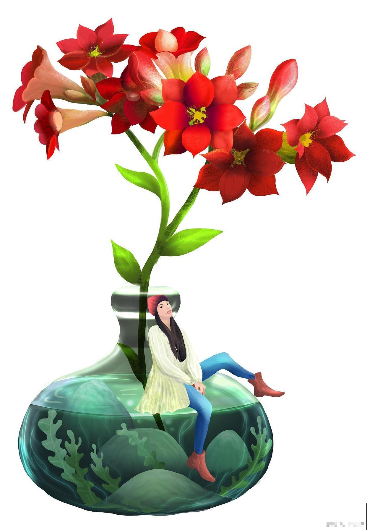 长寿花如何养护才会爆盆 长寿花如何养护才会爆盆