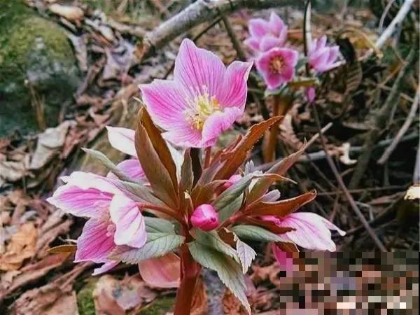 这10个道理,过了40岁之后才懂,你懂了几个? 这10个道理,过了40岁之后才懂,你懂了几个?