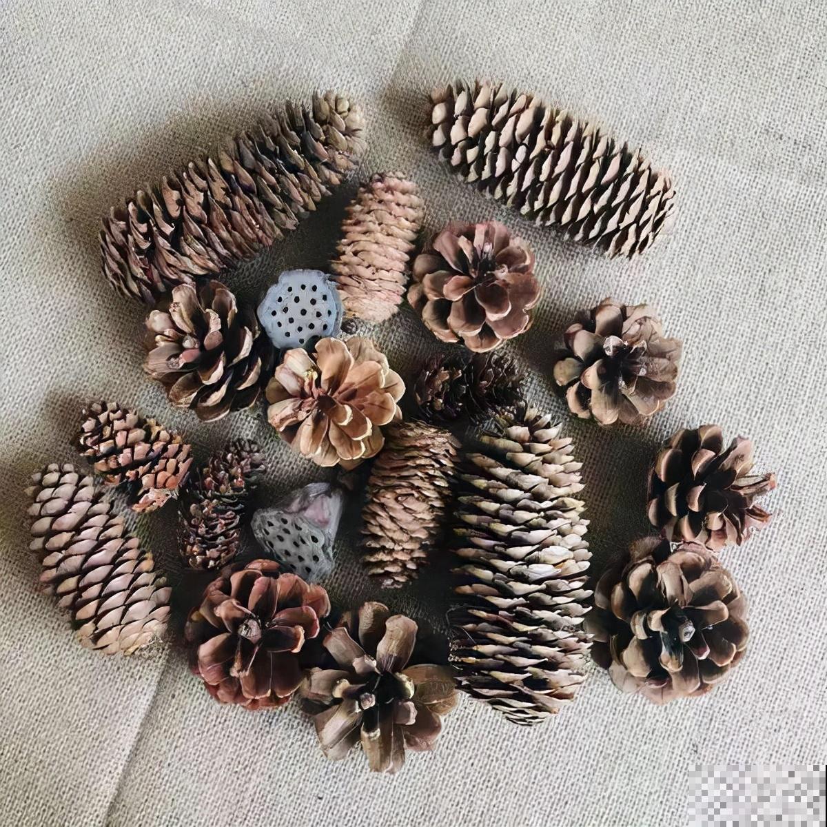 秋冬要多吃坚果,掌握5个妙招,坚果想吃就吃 秋冬要多吃坚果,掌握5个妙招,坚果想吃就吃