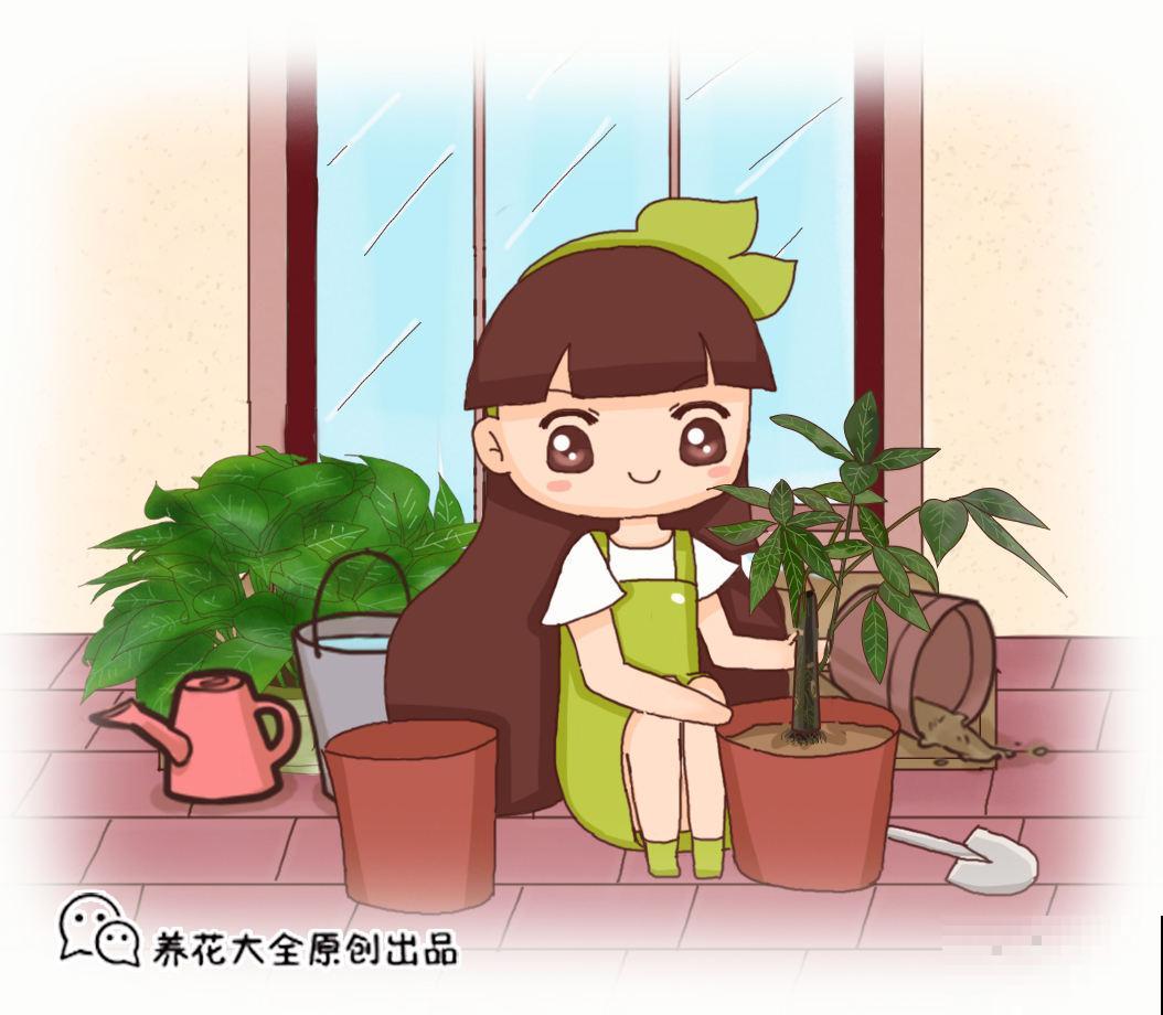 植物叶片发黄落叶，缺水只是原因之一，要懂得变通