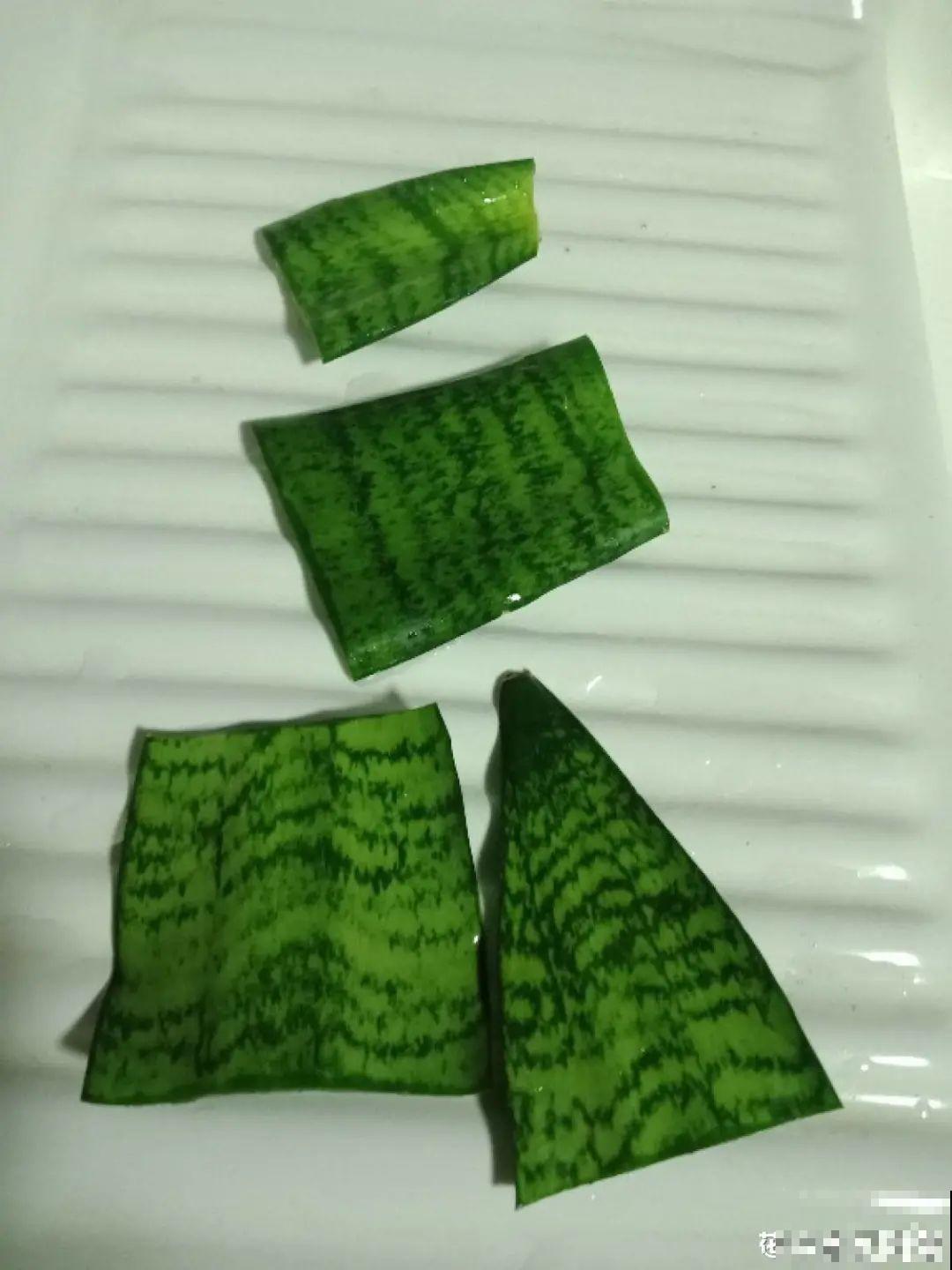 5种花,要是秋天不扦插,错过还得等1年! 5种花,要是秋天不扦插,错过还得等1年!