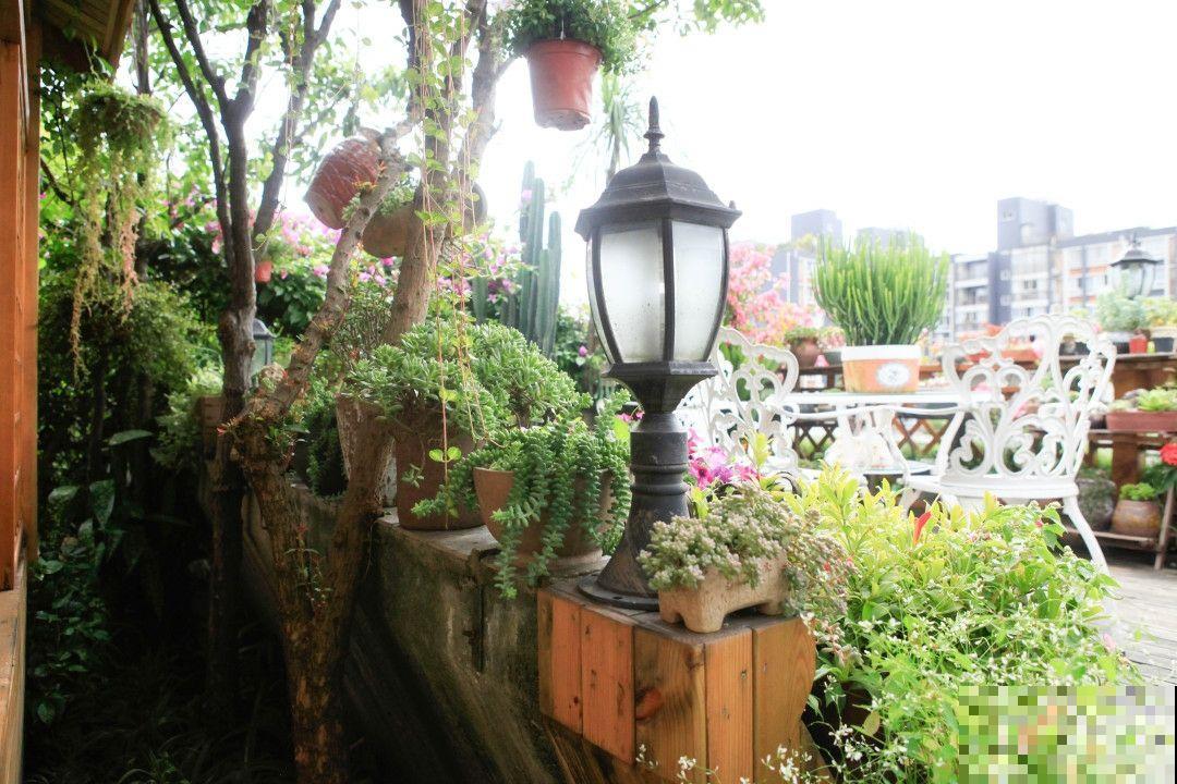 因为一个女人,我爱上了养花,从此生活有了颜色 因为一个女人,我爱上了养花,从此生活有了颜色