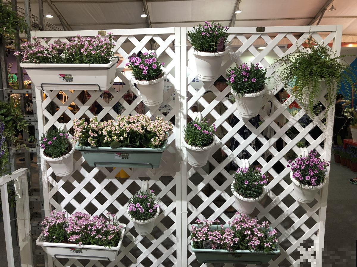 3种养花小物件,选好了提气送福,选不好花园全毁 3种养花小物件,选好了提气送福,选不好花园全毁