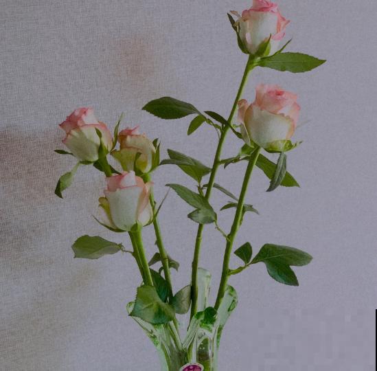 家里养的4种花，掐掉叶子还能做菜，养人养身心