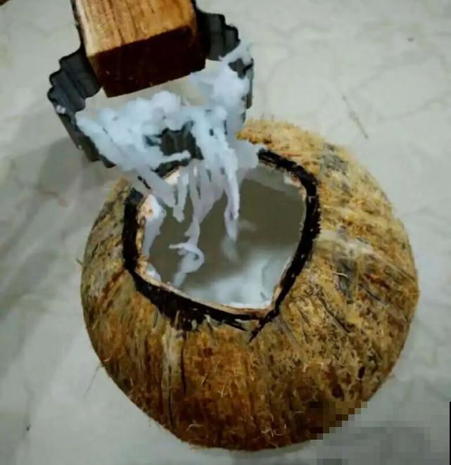 家里的“垃圾”留下，拿来养花效果好，颜值超高