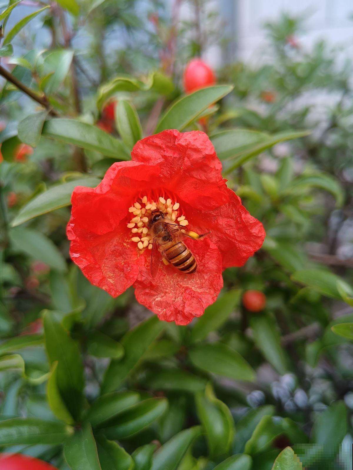 天气一凉，吃这6种蔬果特养人，关键是在家也能种