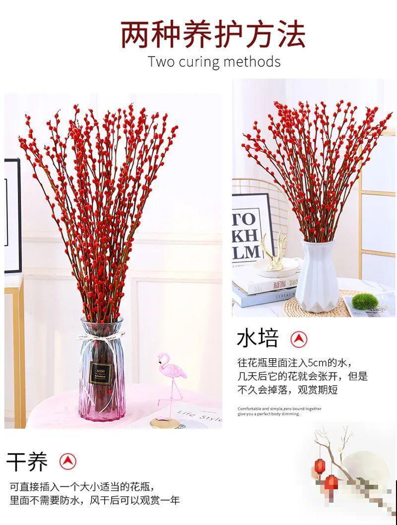 “家有银柳，越过越有”，当之无愧的“旺财花”，年前必须安排