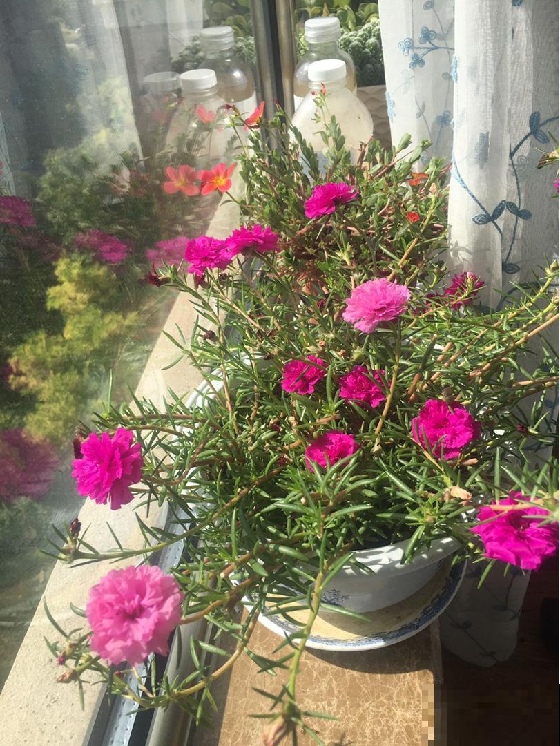 退休以后，在海南买了个房子，才知道为啥大家都爱来