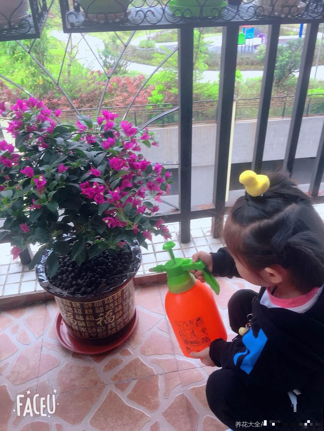 5大“养花精英”教你如何养花，笑死人不偿命系列，直呼“哇塞”