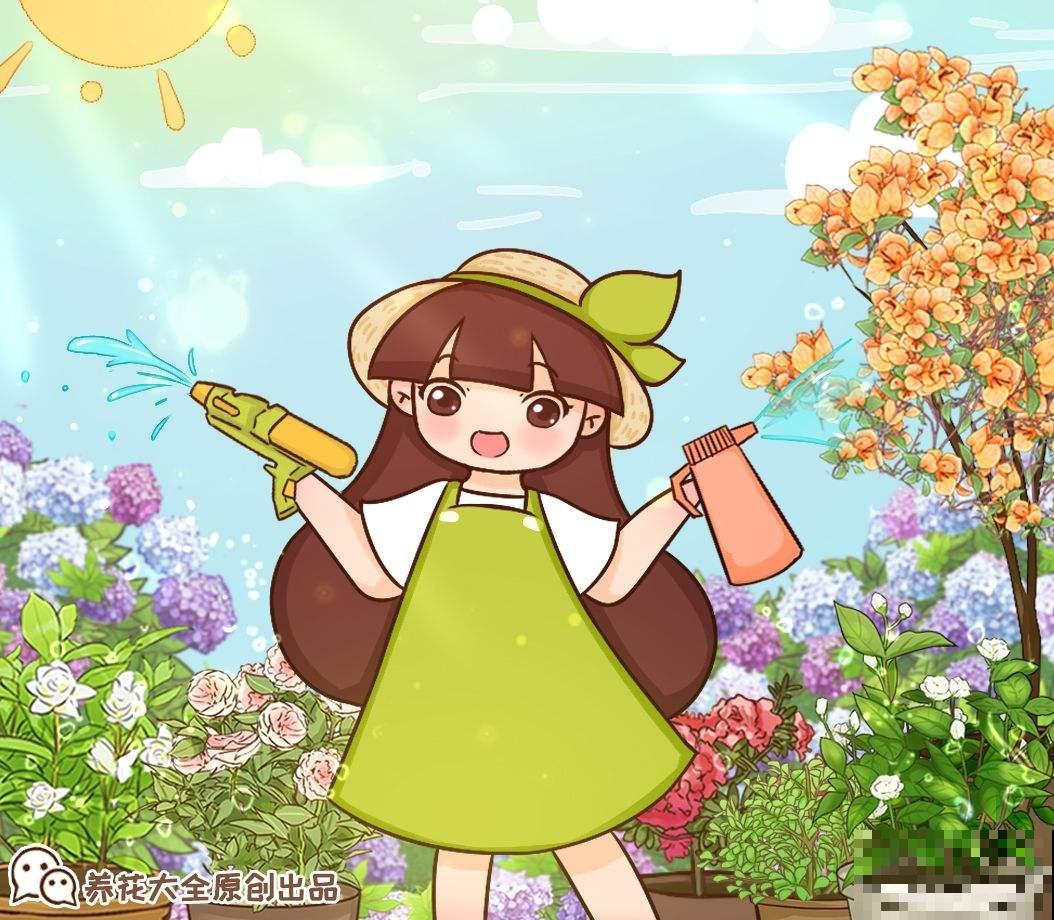 “养花4种水胜过千种肥”，便宜又实用，关键还不花钱