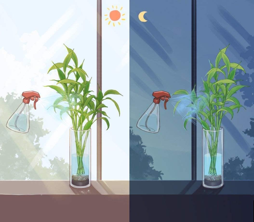 5种有“格调”的植物，养在家里有气质，一看就是有品位的人在养