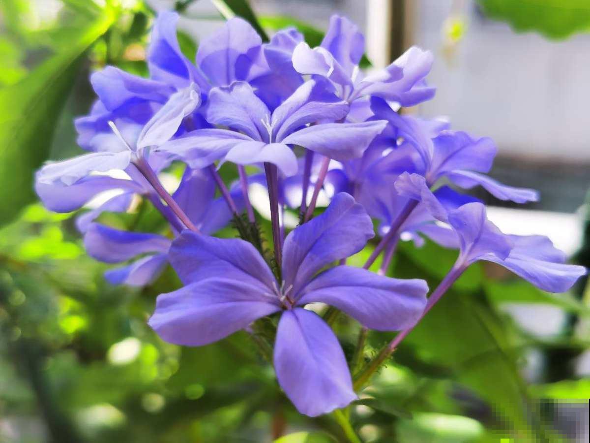 10个人生大道理，50岁后感同身受，你同意吗