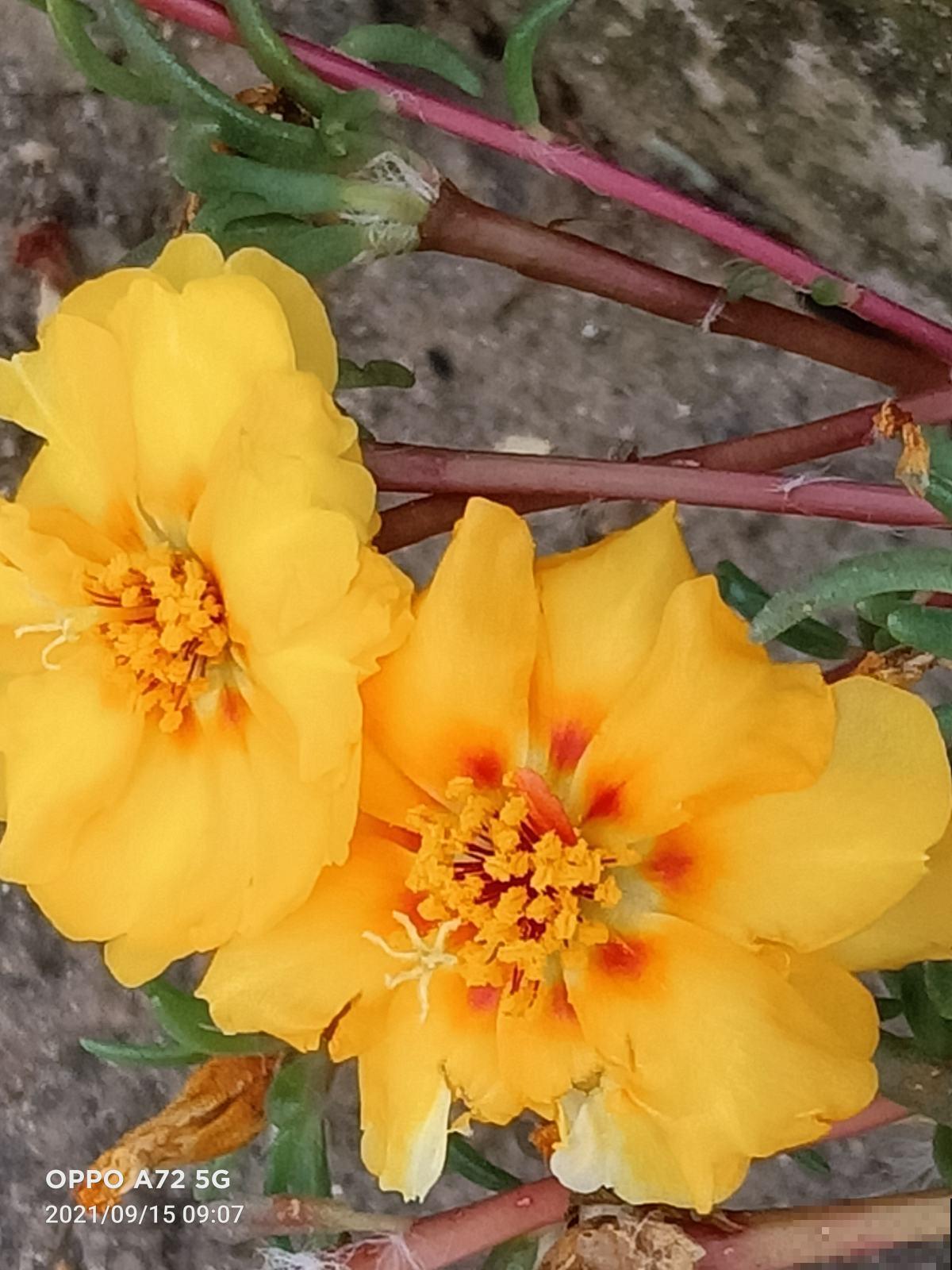 老师布置了1份作业，导致我和孩子冷战三天，到底是谁错了