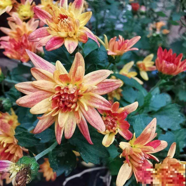 10个人生大道理，50岁后感同身受，你同意吗