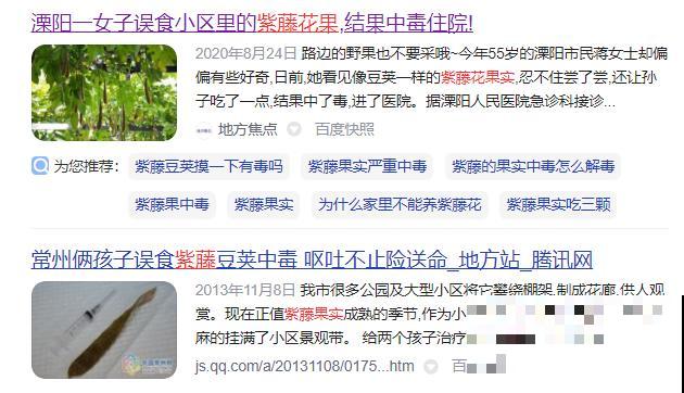 路上看见银杏果,不要捡,小心有毒! 路上看见银杏果,不要捡,小心有毒!