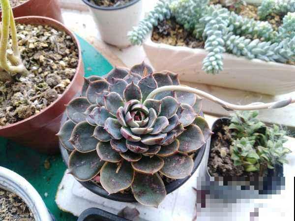 这10个道理,过了40岁之后才懂,你懂了几个? 这10个道理,过了40岁之后才懂,你懂了几个?