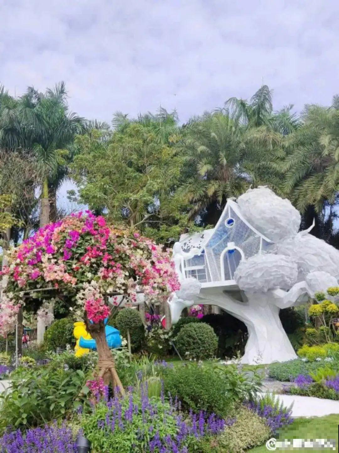 一盆菊花一万二，能开出七个颜色，真是少见