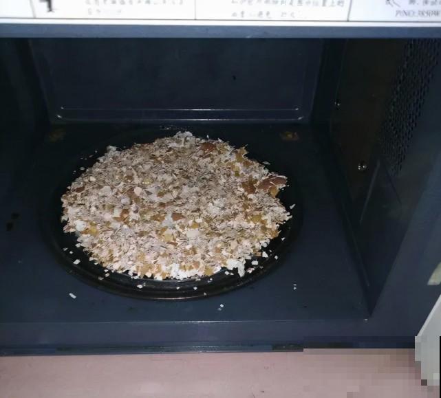 家里的“垃圾”留下，拿来养花效果好，颜值超高