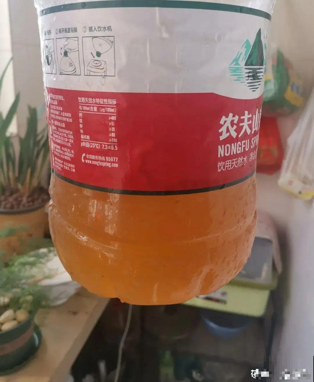 10种“垃圾”不要丢，拿来养花效果好，还能省下一笔钱