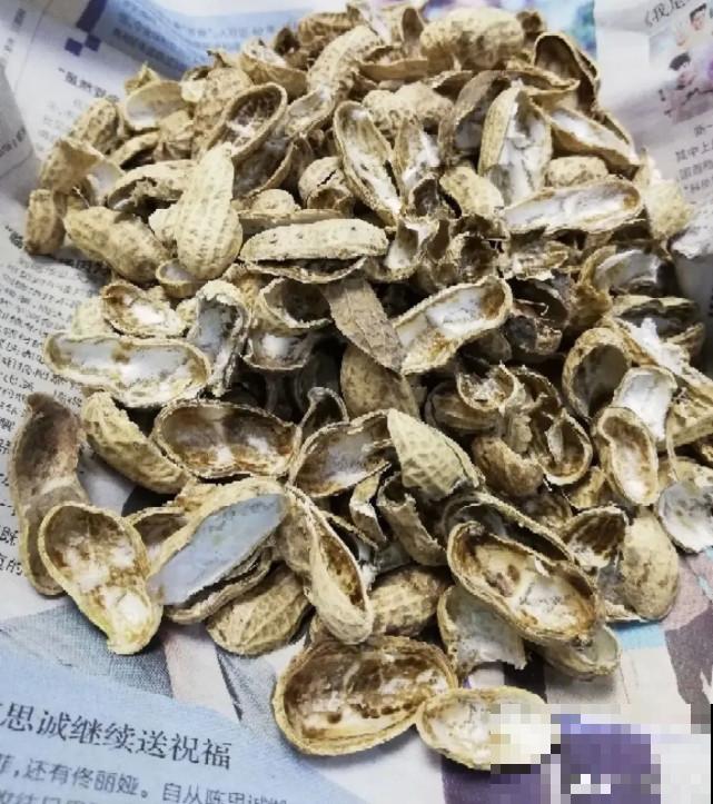 家里的“垃圾”留下，拿来养花效果好，颜值超高