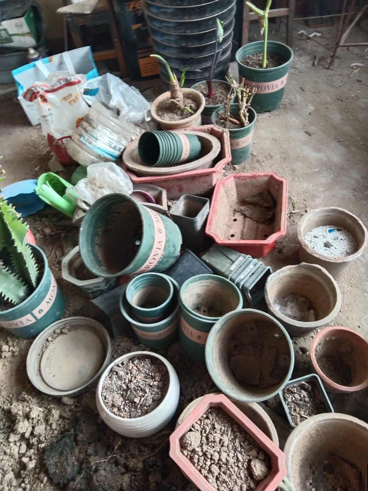 养花常见的“智商税”，这3种东西，买回家就是浪费钱