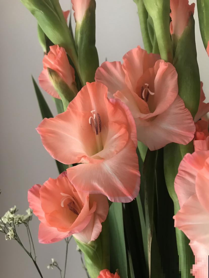 教师节送礼，是恶俗还是心意，全靠自己评判