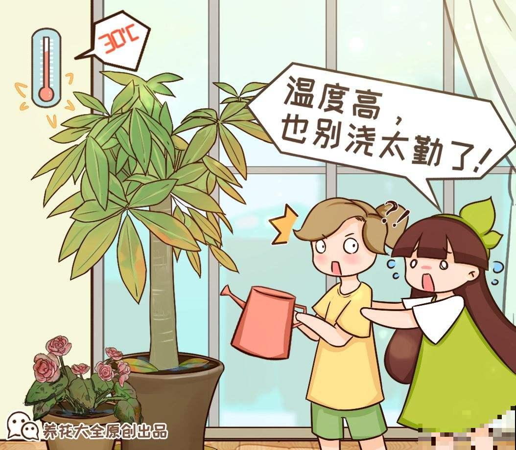 植物黄叶,用8个办法“叫醒它”,很快长出小嫩叶 植物黄叶,用8个办法“叫醒它”,很快长出小嫩叶