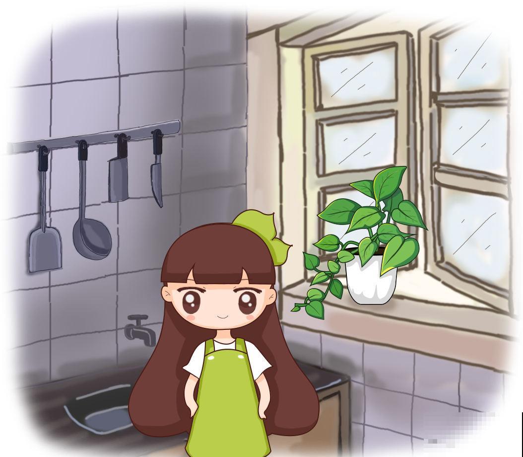 厨房里养盆花，净化空气效果好，还能赶虫子