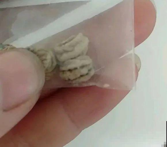 秋天种16种花，冬天就能开爆盆，满盆都是花