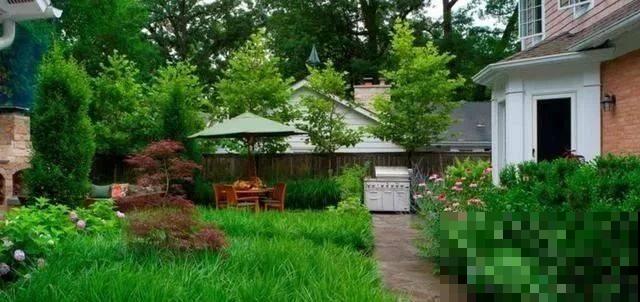 农村没人要的平房，6万块钱买下来，花2万装修，养花正好