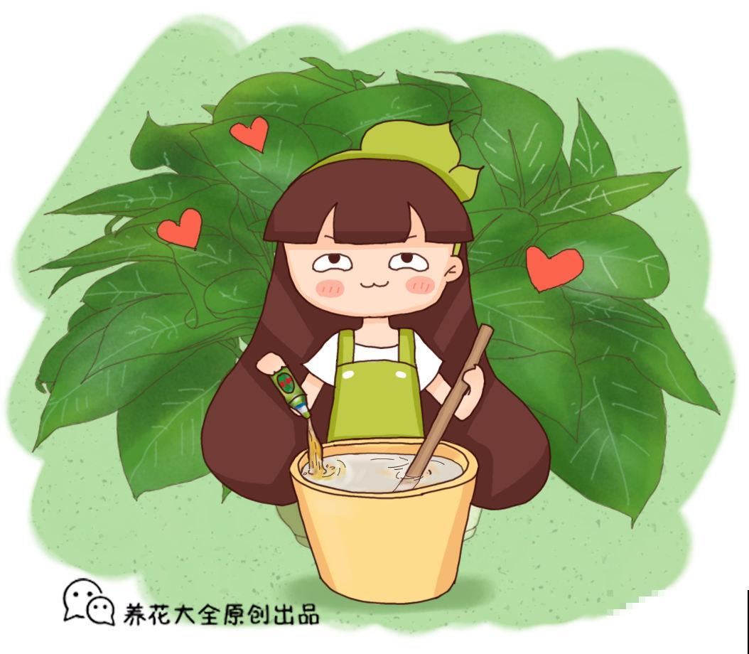 生活中的垃圾，却是养花好材料，千万别扔！