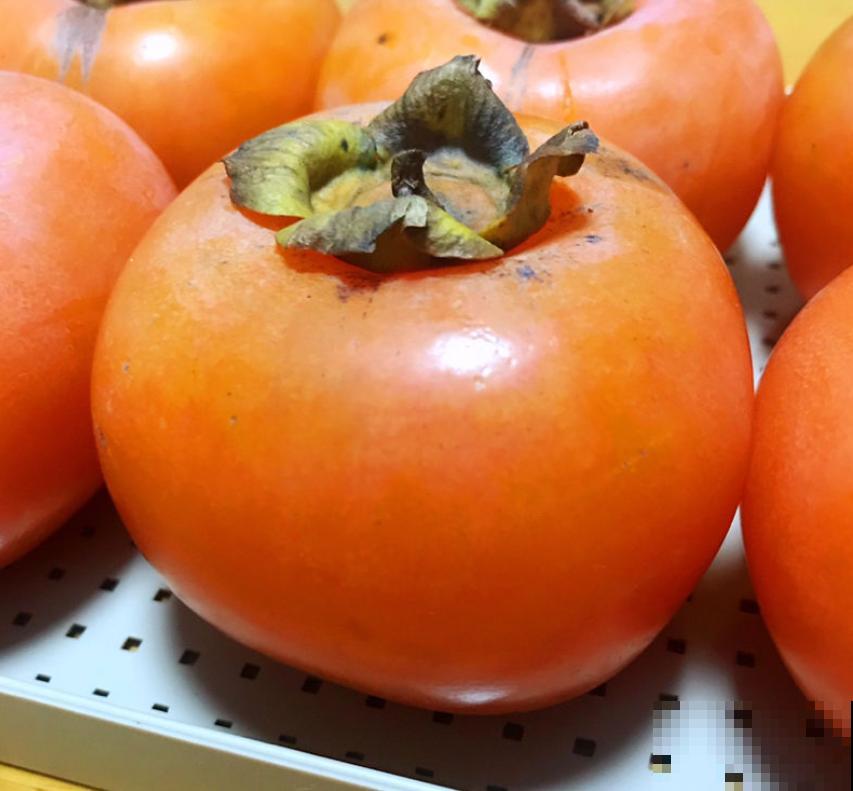 拥有一颗柿子树,满树挂满“小灯笼”,日子红火又吉祥 拥有一颗柿子树,满树挂满“小灯笼”,日子红火又吉祥