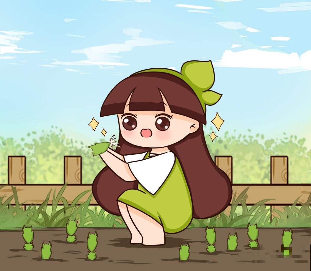 蟹爪兰扦插，竟然靠一把梳子就可以